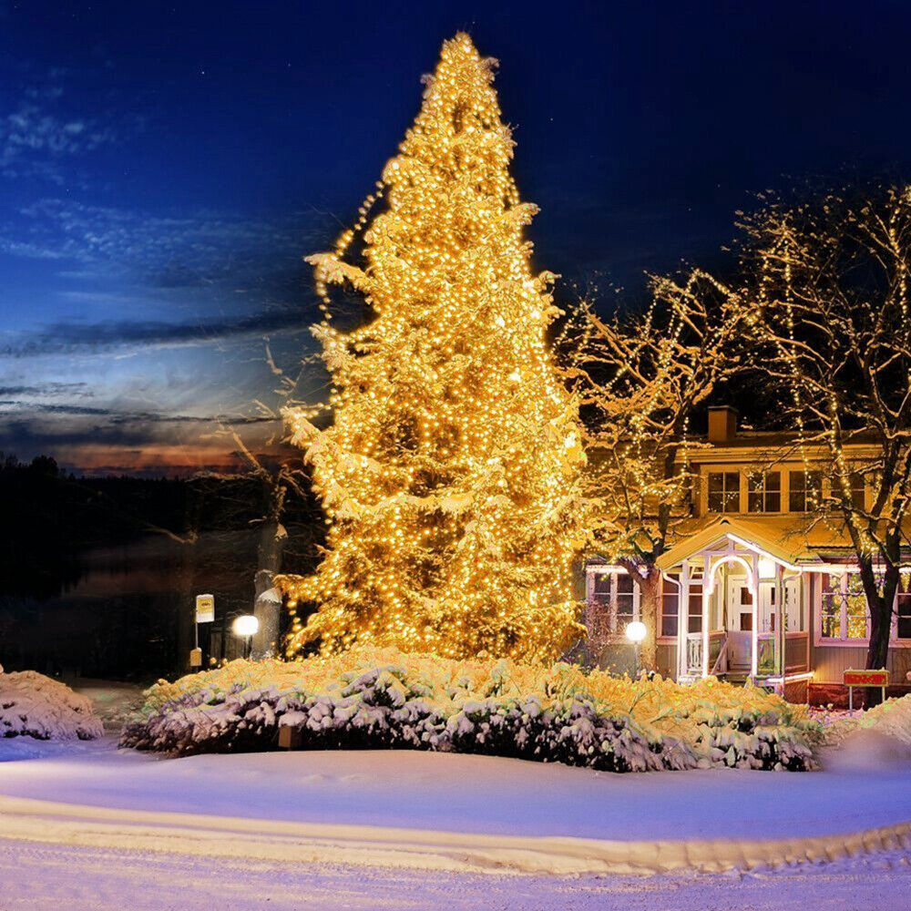 Weihnachtsbaum-Feen-Lichterkette für Partys, 9,7 m 